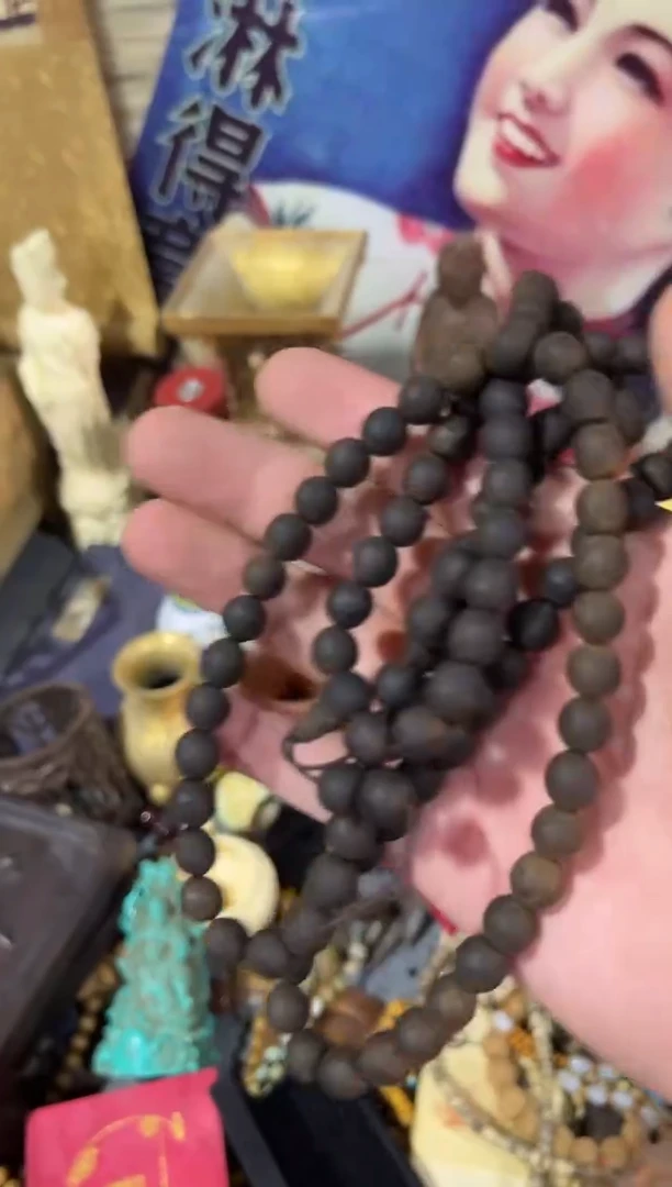 黄杨木1111111111111111111