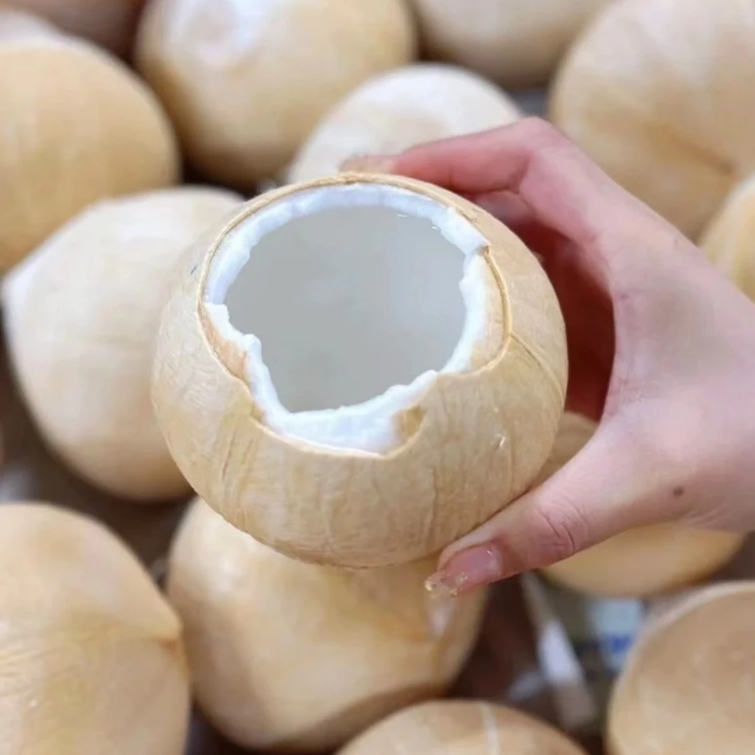 A泰国丹嫩沙多牛奶椰皇椰子6/10颗装【单果400-750g】顺丰包邮新鲜