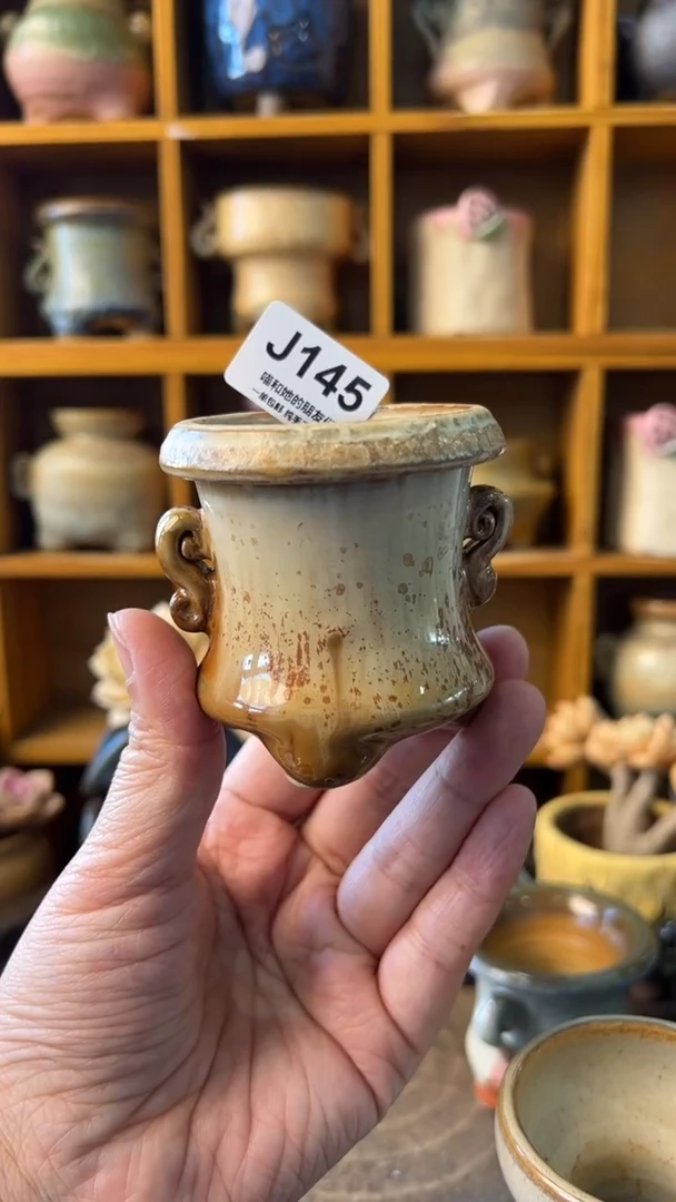 145 内口5【多肉花盆多肉盆】