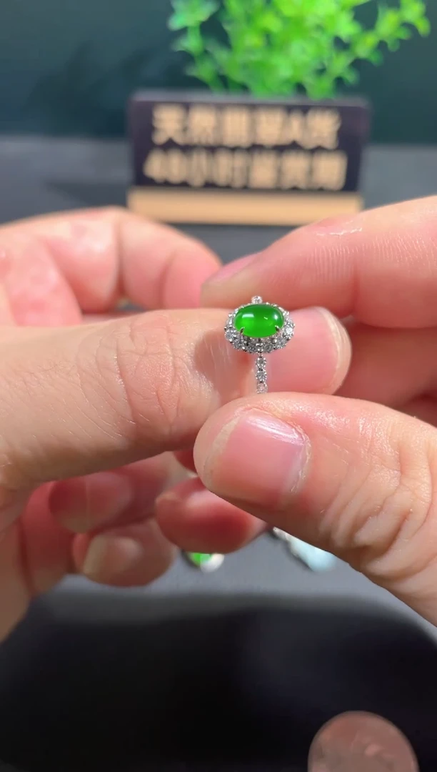 【闪购商品】翡翠颈饰18K金镶嵌翡翠