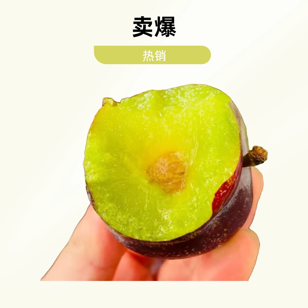 促销福利-脆李二级9.9元2斤