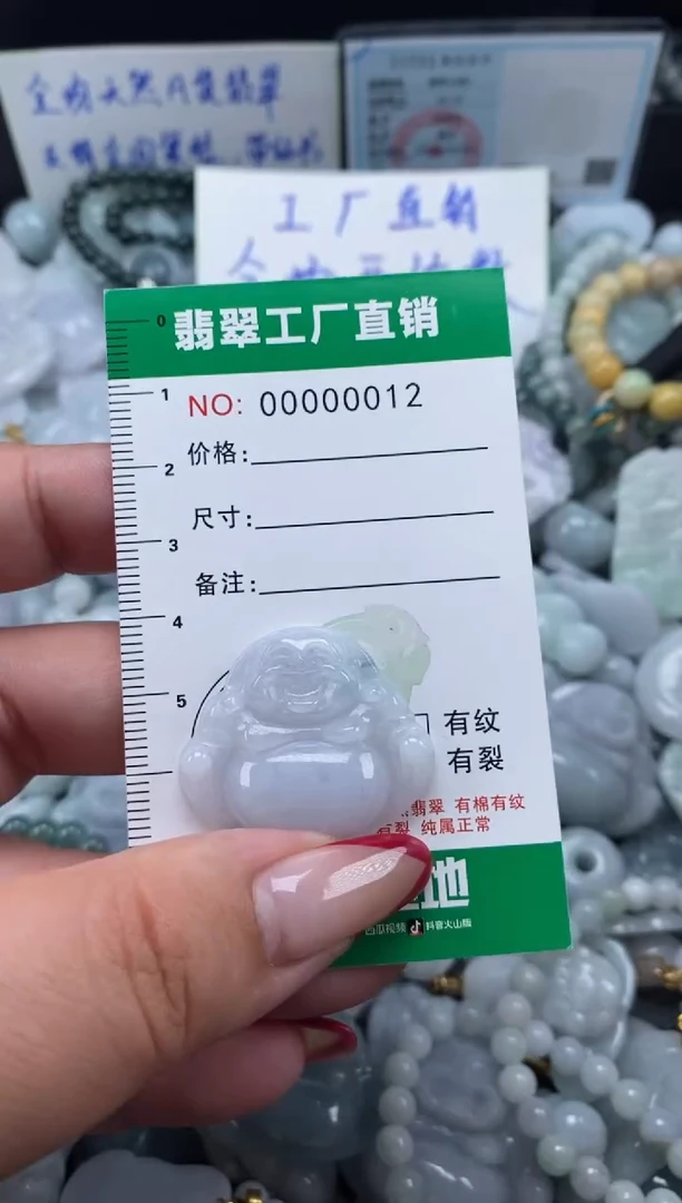 翡翠未镶嵌颈饰天然A货翡翠0012