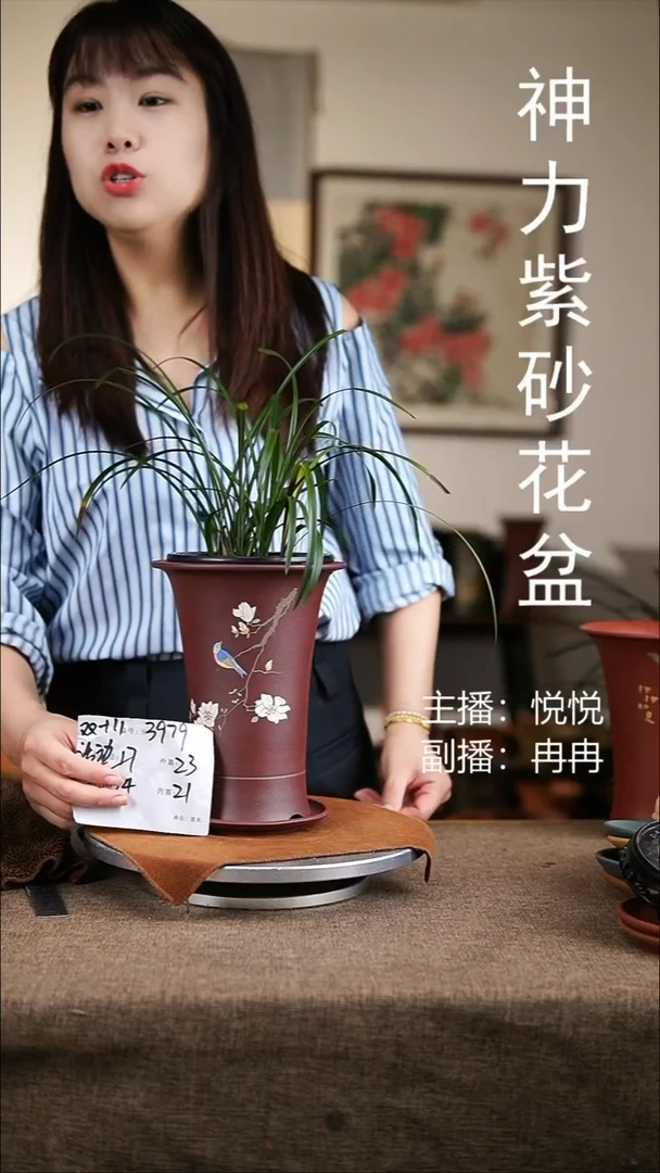 紫砂花盆紫砂花盆3979+z