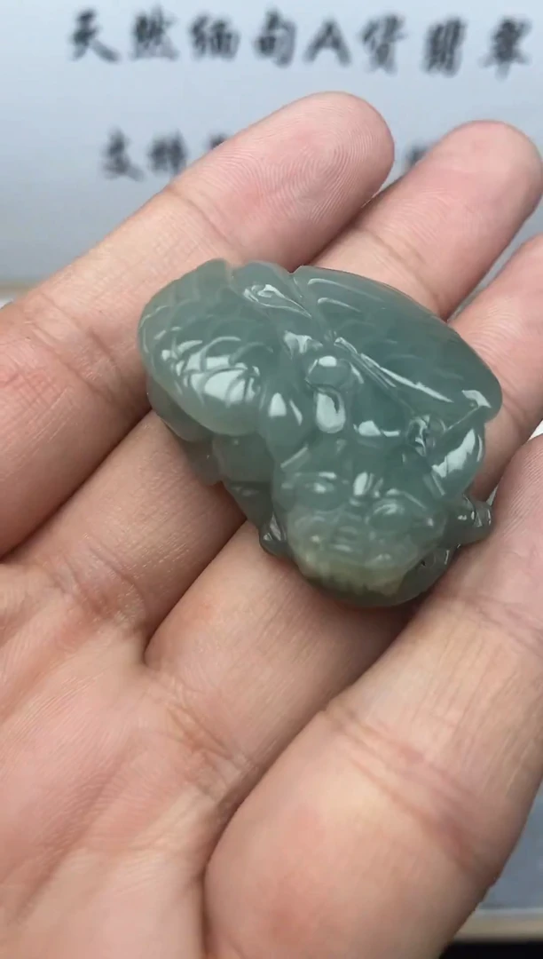 颈饰未镶嵌翡翠貔貅