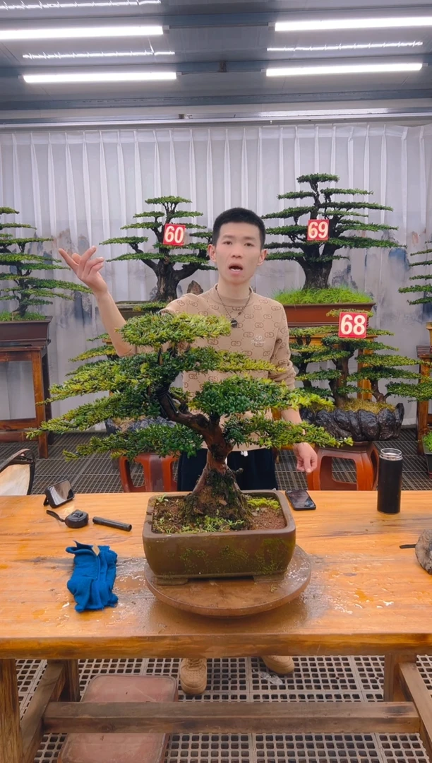 【闪购商品】紫砂精品盆景直播间一物一拍