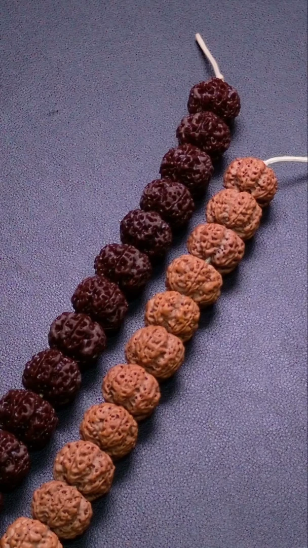 金刚菩提手串古龙梅花20-22