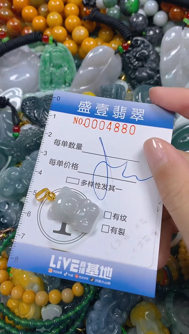 颈饰未镶嵌翡翠闪购0004880