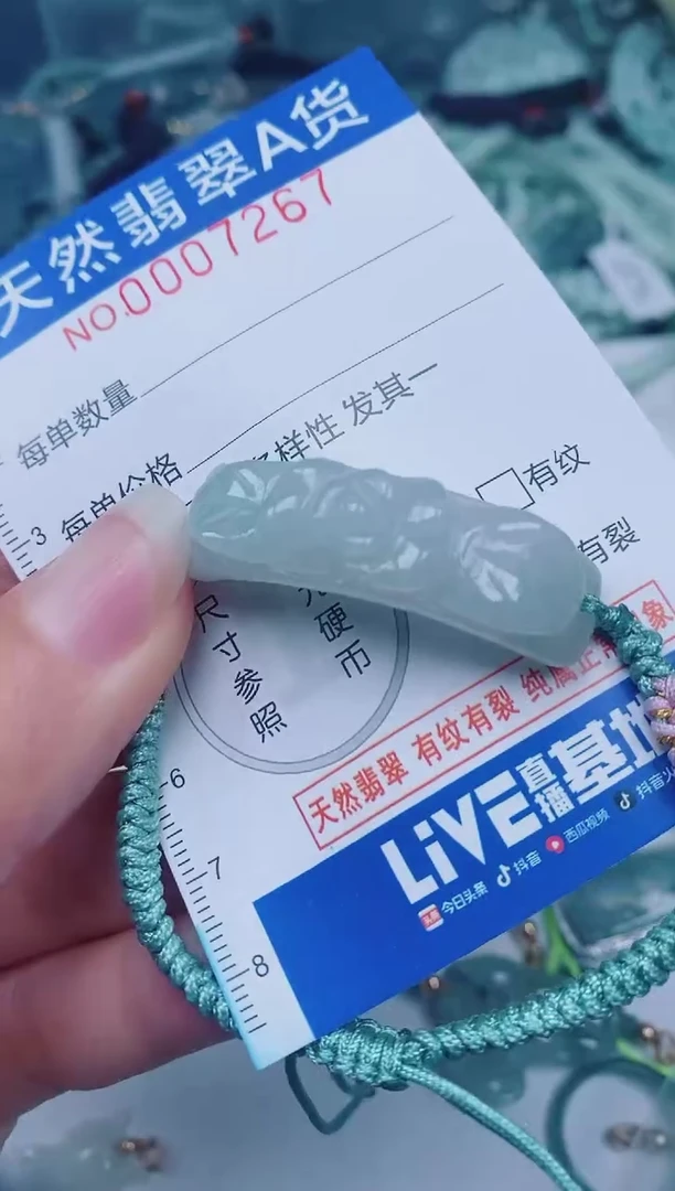 颈饰未镶嵌翡翠00007267