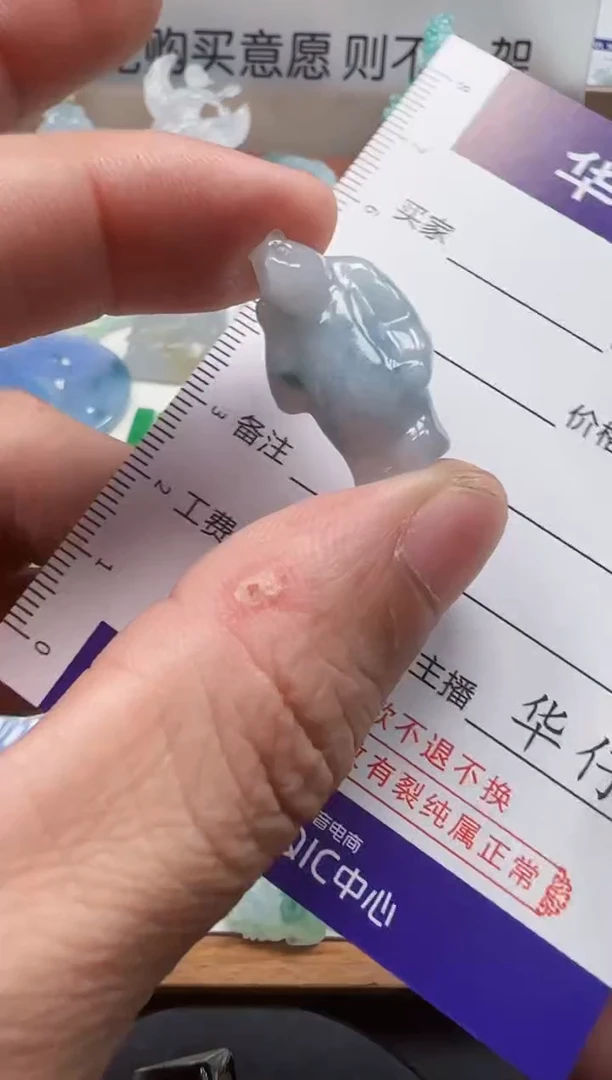 颈饰未镶嵌翡翠               7