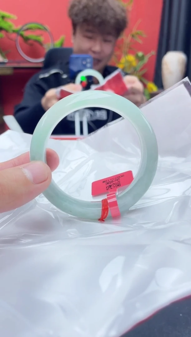 未镶嵌手镯翡翠7