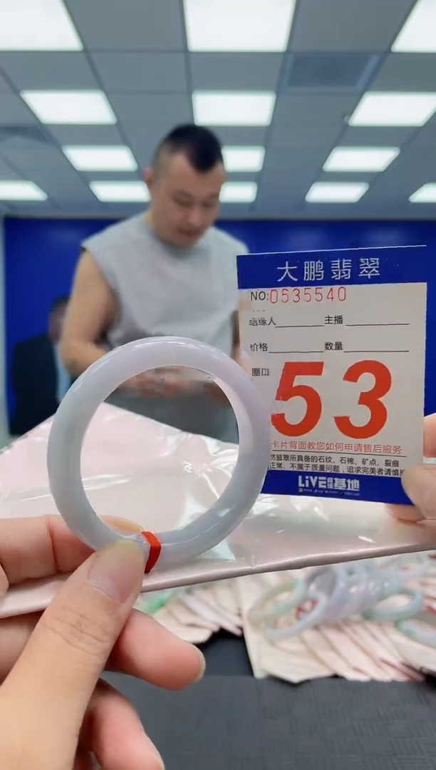 未镶嵌手镯翡翠AAAAAAAAAA