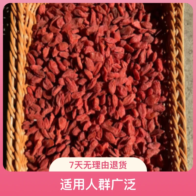 中卫精选红枸杞大颗粒