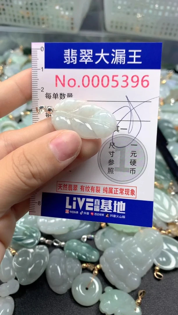 颈饰未镶嵌翡翠5396