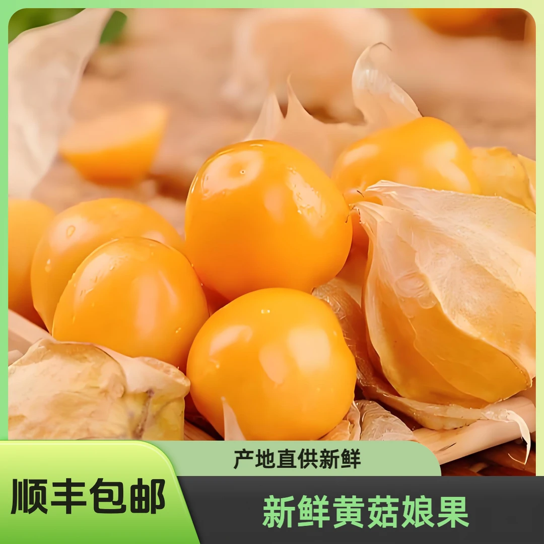 东北特产新鲜姑娘果当季水果香甜奶香灯笼果顺丰包邮黄姑娘