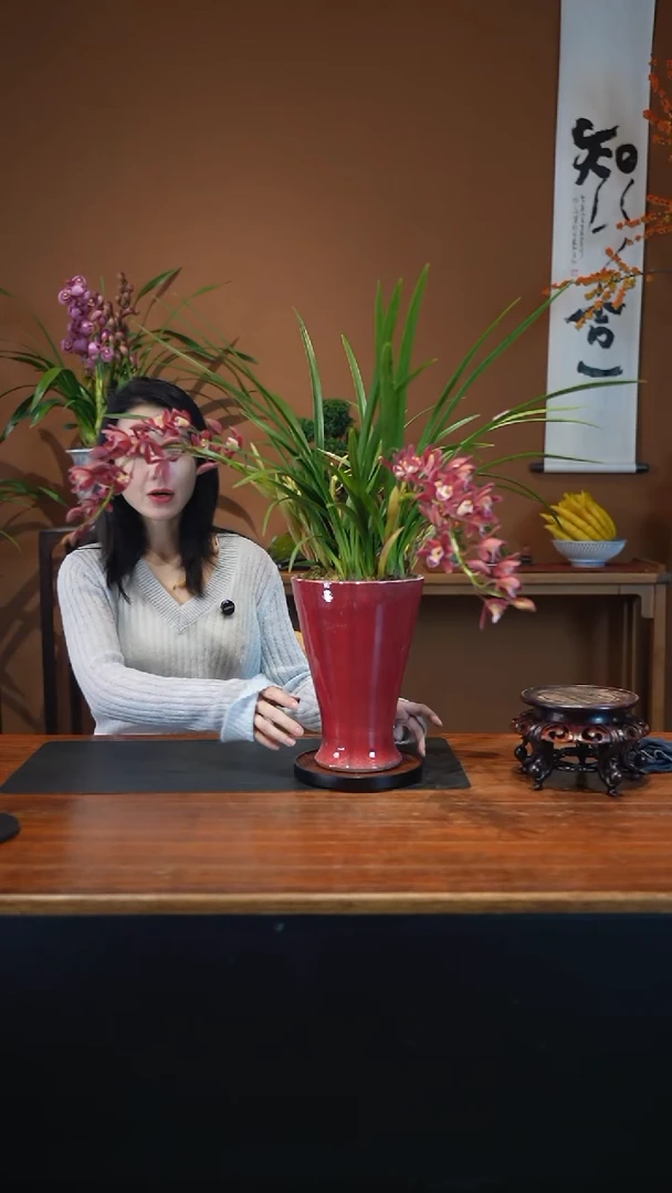 全部花朵红双喜红盆