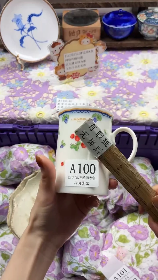 瓷片棉****天                A100
