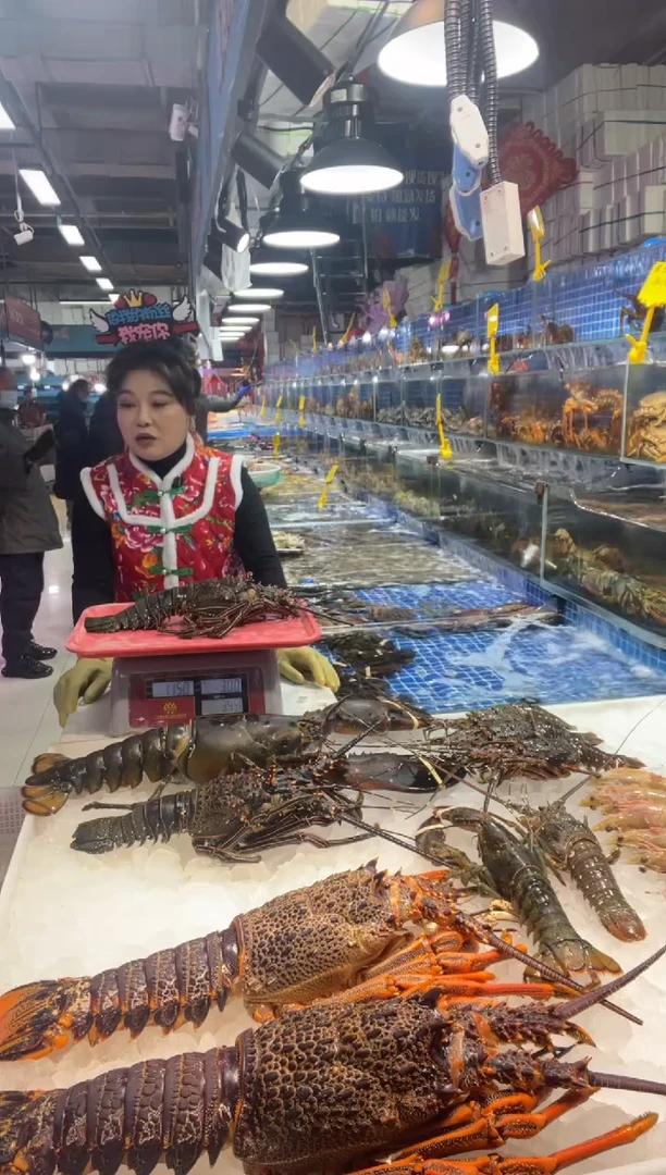 中国大陆断氧墨西哥青龙1只，2.3斤