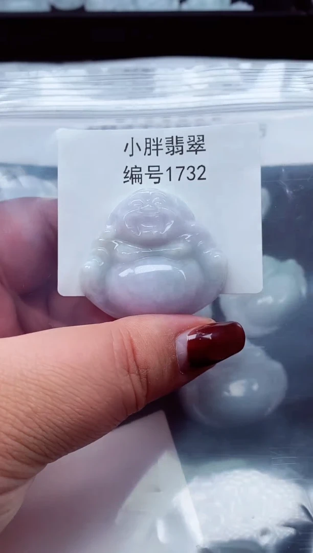 颈饰未镶嵌翡翠缅甸天然A货翡翠1732