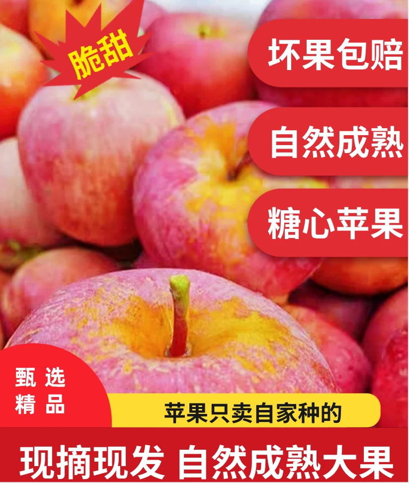 【汉源糖心苹果】2025新鲜应季脆甜红富士水果产地昭通丑苹果冰糖心