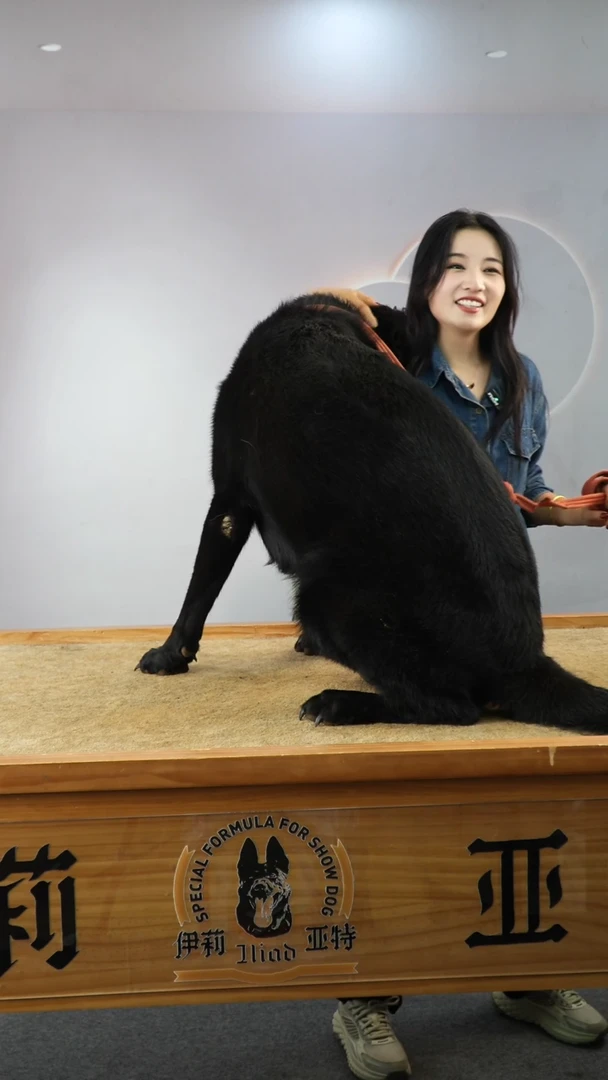 格林格儿子母亲马克女儿