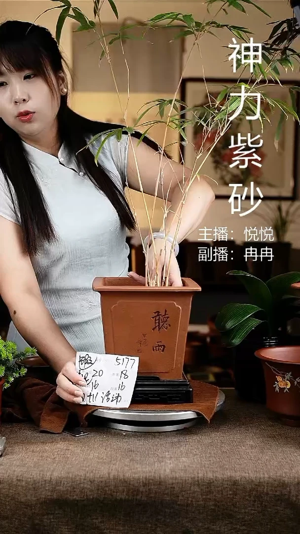 紫砂花盆花卉工艺5711+s微瑕