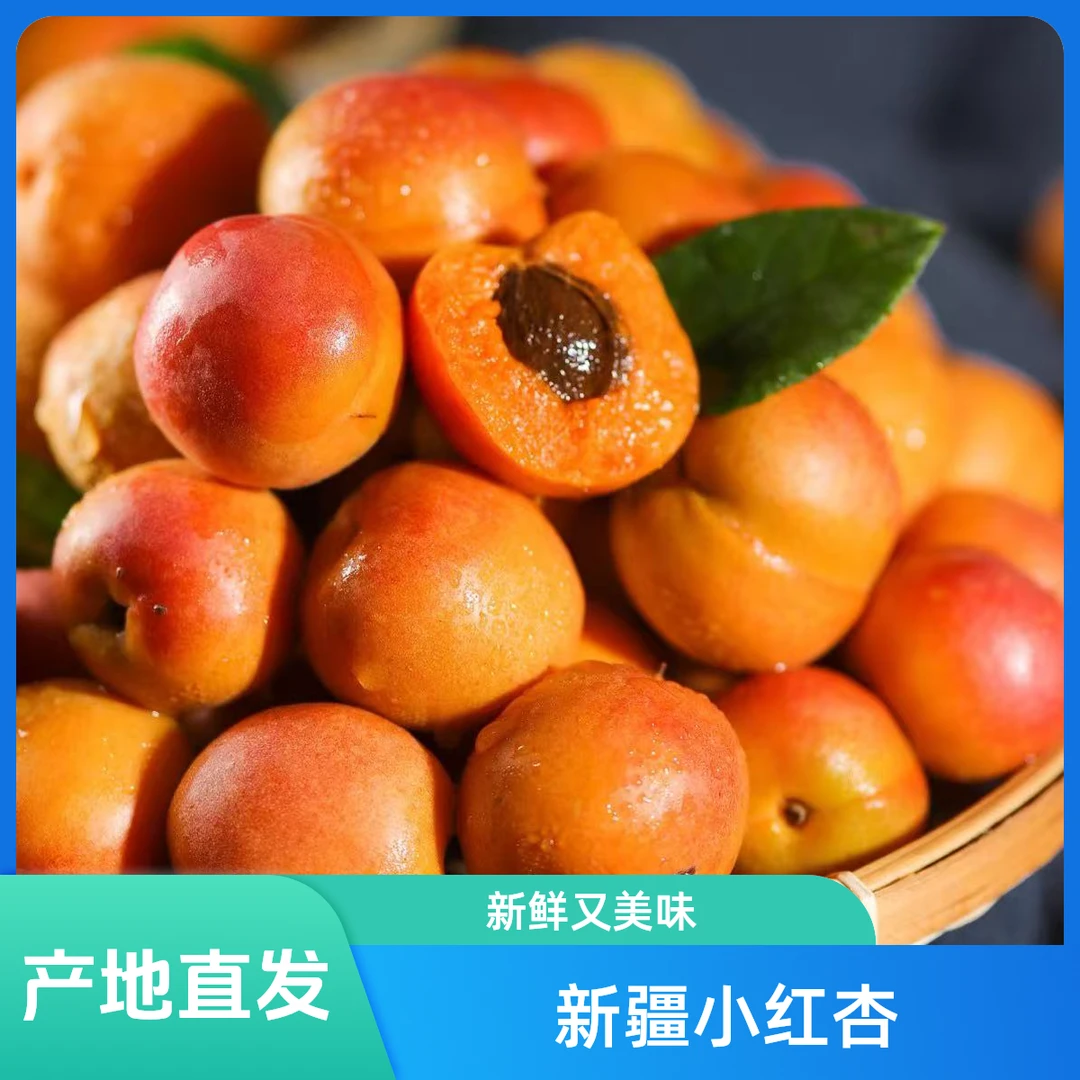 新疆小红杏新鲜水果吊干杏包售后胜过小白杏家庭装顺丰双仓发货
