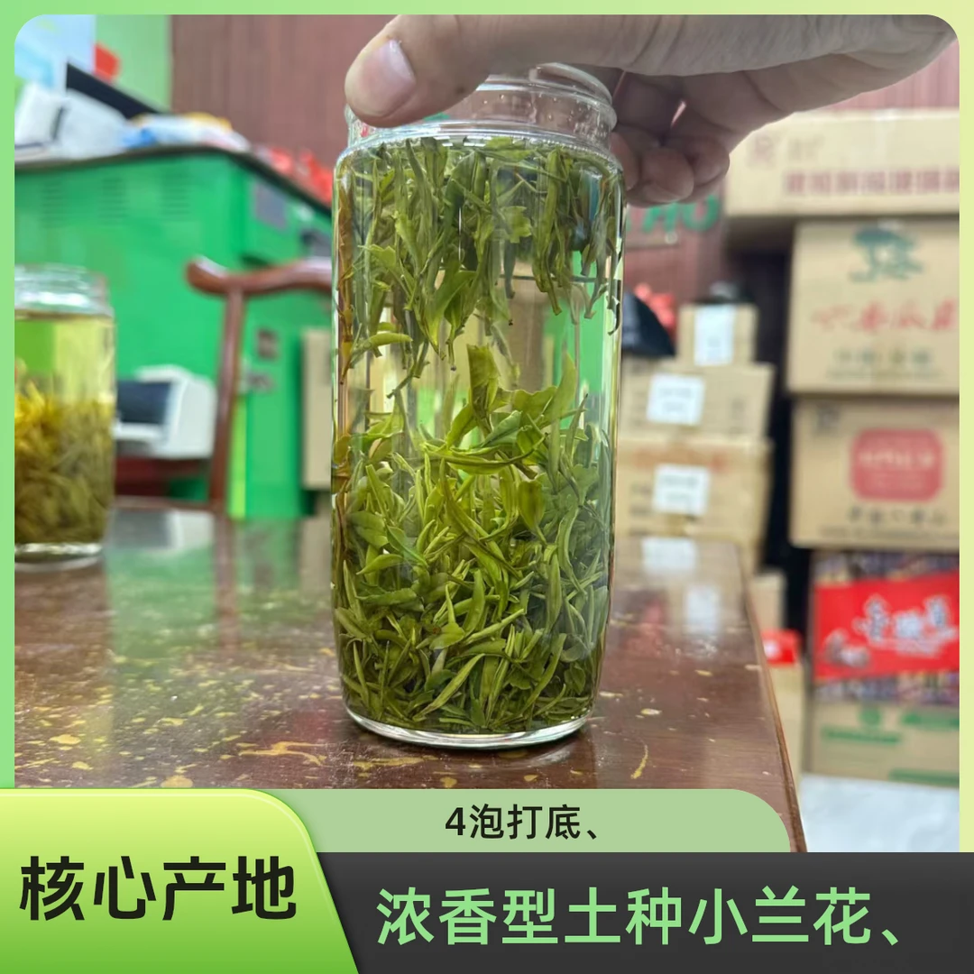 2025土种兰花-核心产地-耐泡味浓A3
