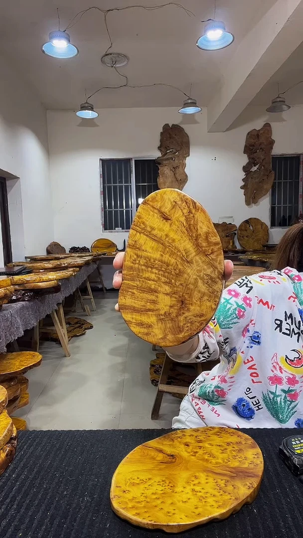 香杉木C*.香山枯木香山