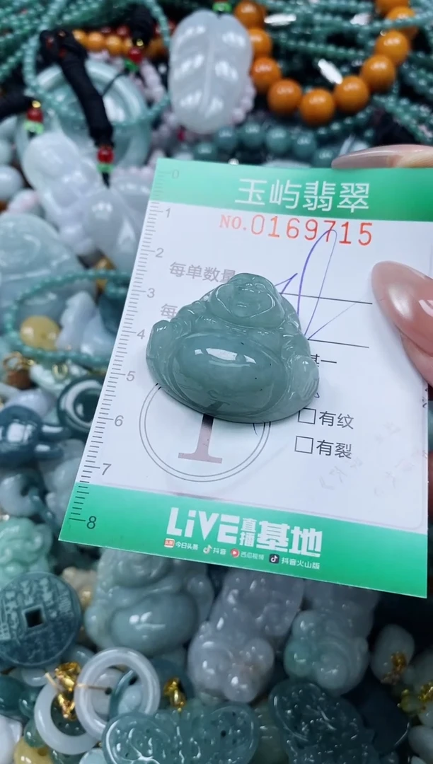 翡翠未镶嵌颈饰闪购0169715