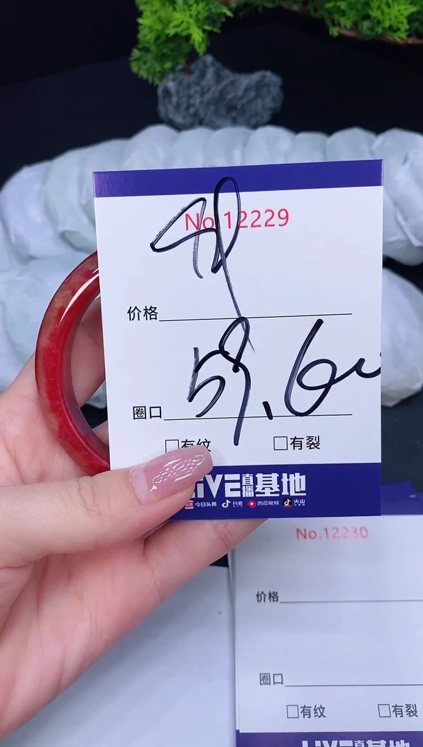未镶嵌手镯翡翠12229