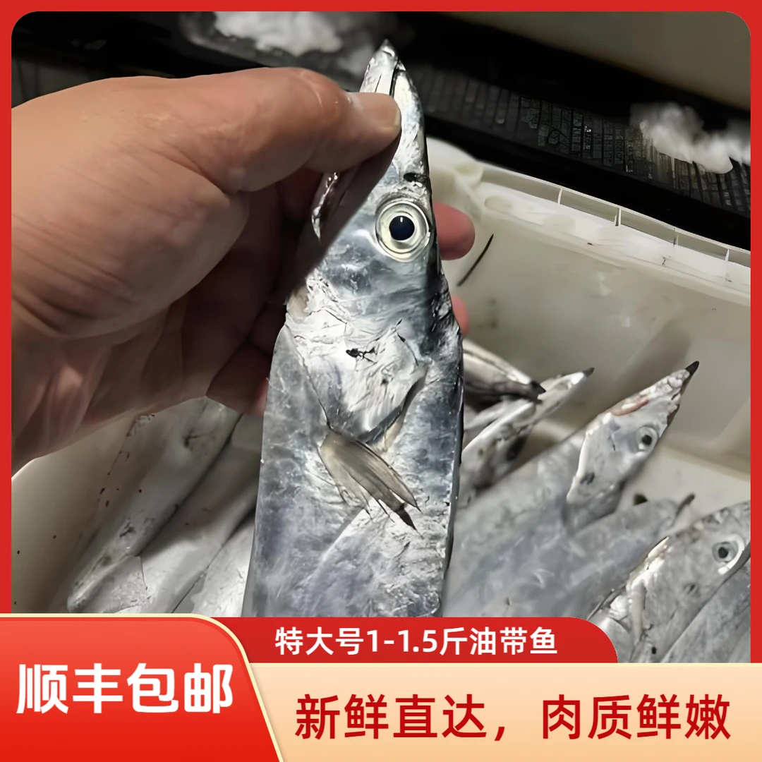 【海上渔船】超特大油带鱼 1斤-1.5斤/条 舟山发货 速冻锁鲜