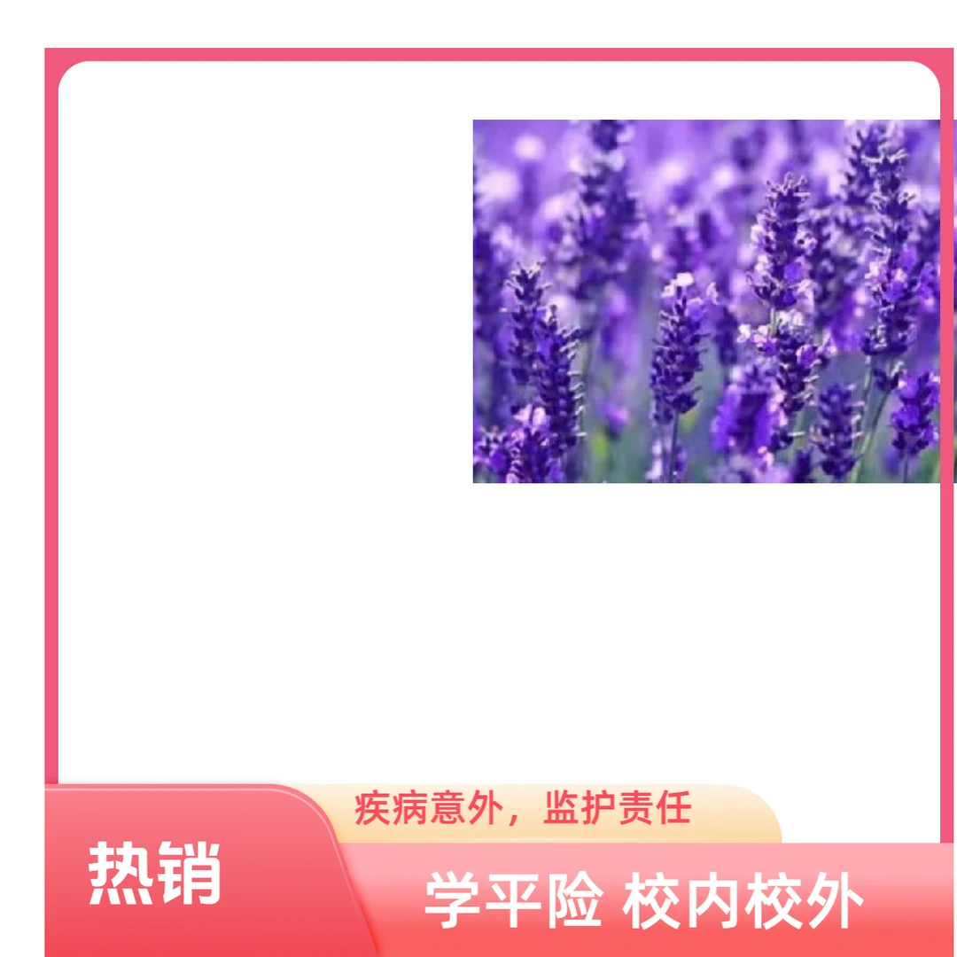 学平险（校内校外，疾病意外）