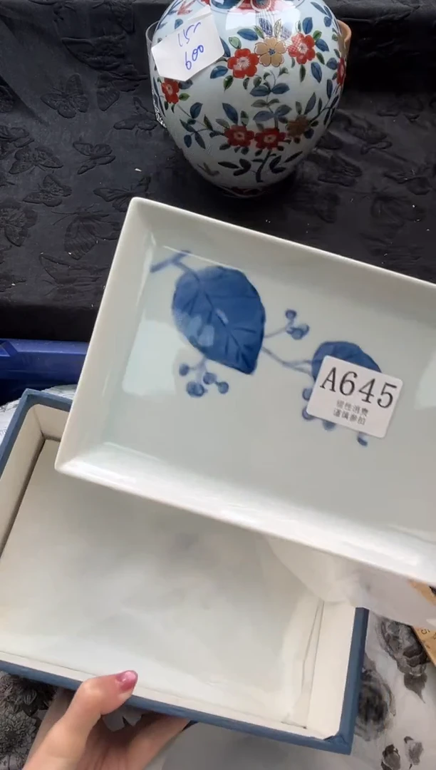 瓷片有*       A645*