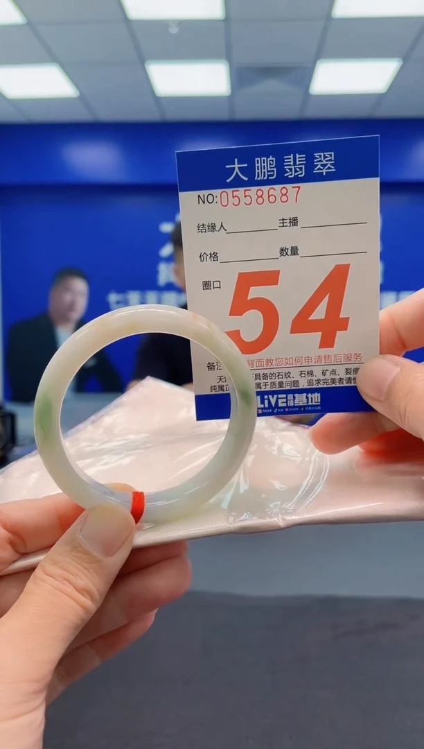 未镶嵌手镯翡翠AAAAAAAAA