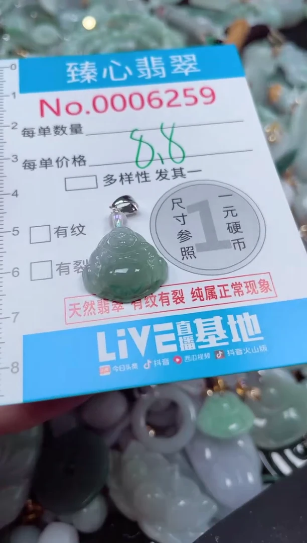 颈饰未镶嵌翡翠6259