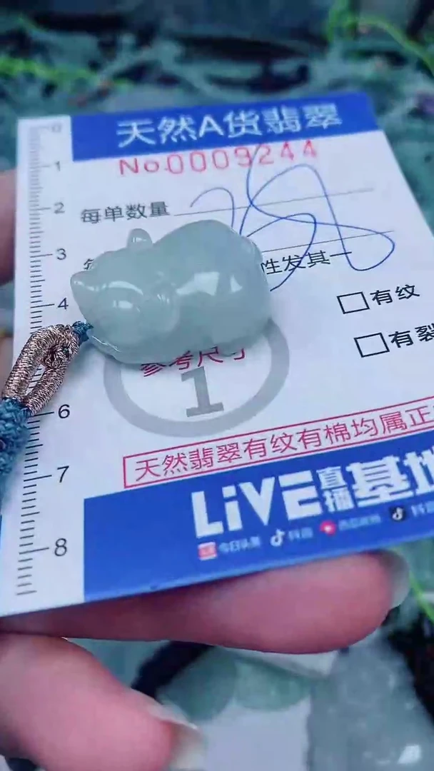 翡翠未镶嵌颈饰00009244