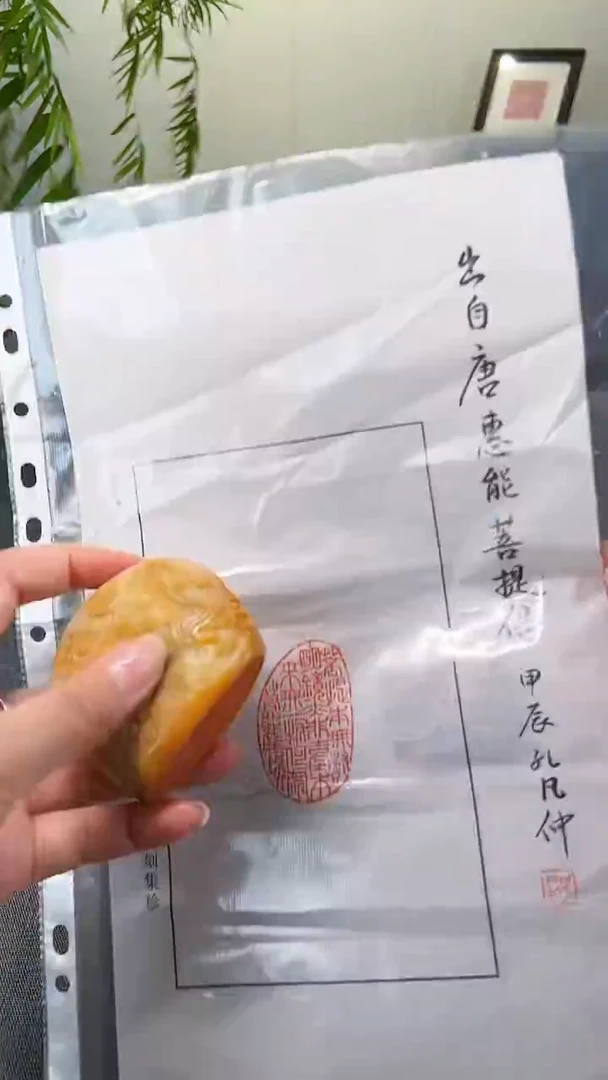 寿山石印石菩提记