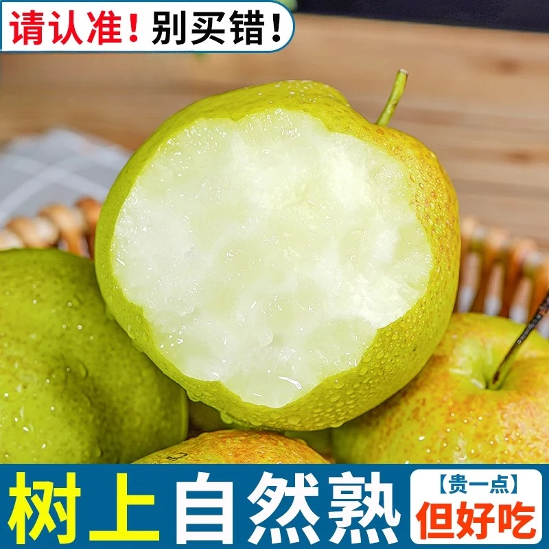 【次日达】10斤山西正宗树上熟玉露香梨礼盒装梨子水果新鲜当季整箱水果包邮