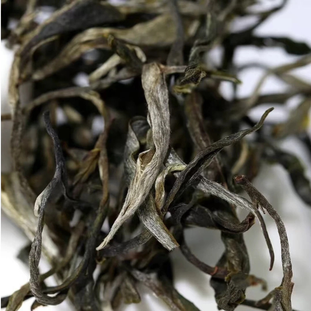 789号-2025年香竹箐（春）普洱生茶散茶