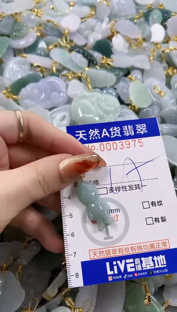 颈饰未镶嵌翡翠天然A货翡翠