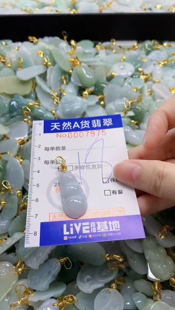 颈饰未镶嵌翡翠纯天然a货翡翠