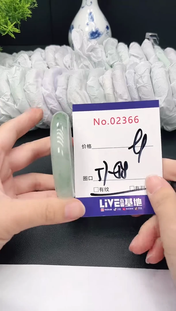 未镶嵌手镯翡翠2366