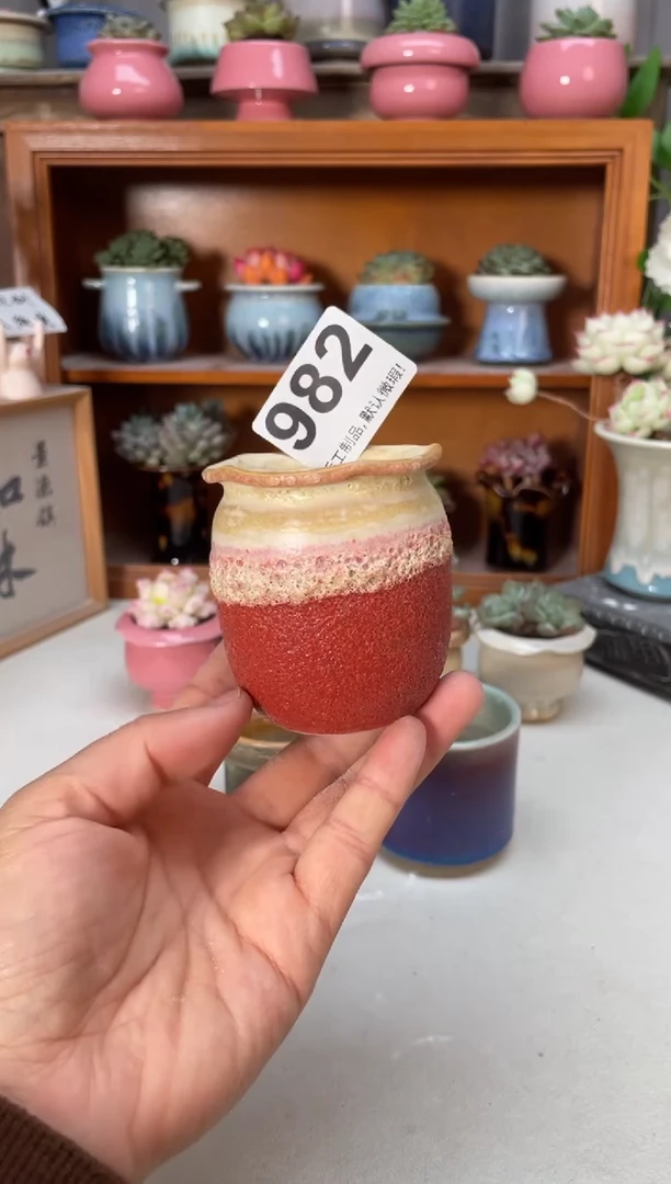 瓷片982小芳直播编号