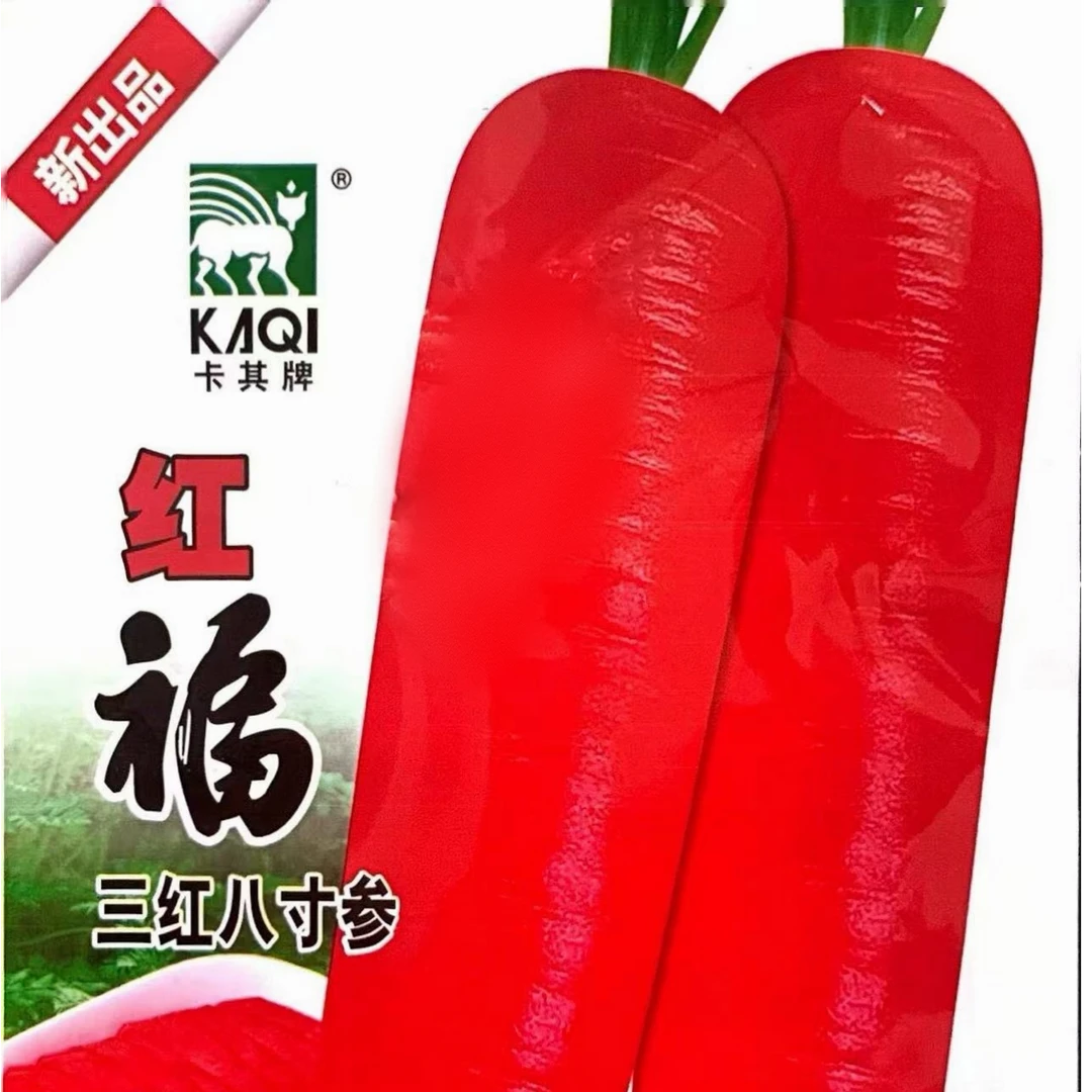 红福萝卜种子抗病味香甜脆嫩皮肉芯均桔红品质优阳台盆栽小院种植