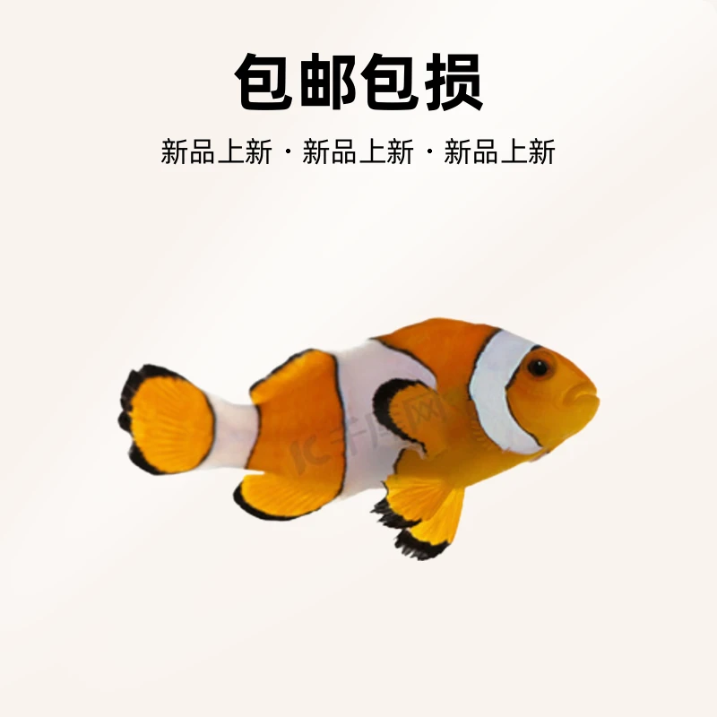 一物一拍检疫开口公子   售后拍开箱视频  拍之前联系客服