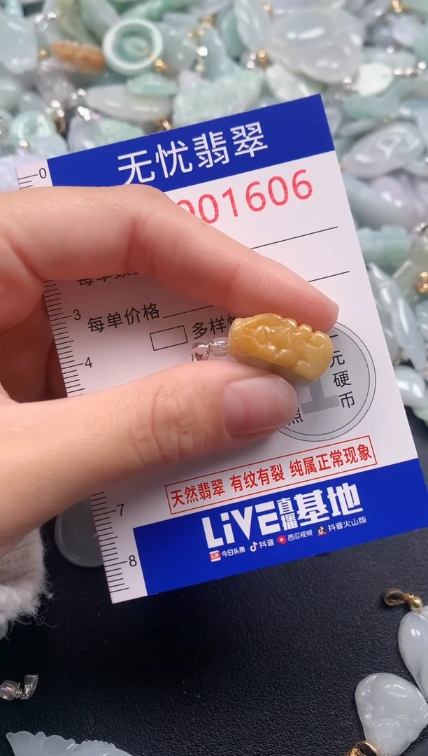 颈饰未镶嵌翡翠1606