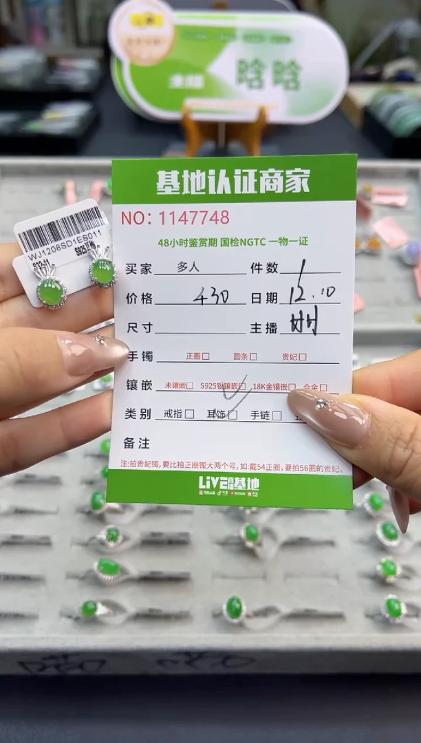 银S925镶嵌翡翠耳饰多人