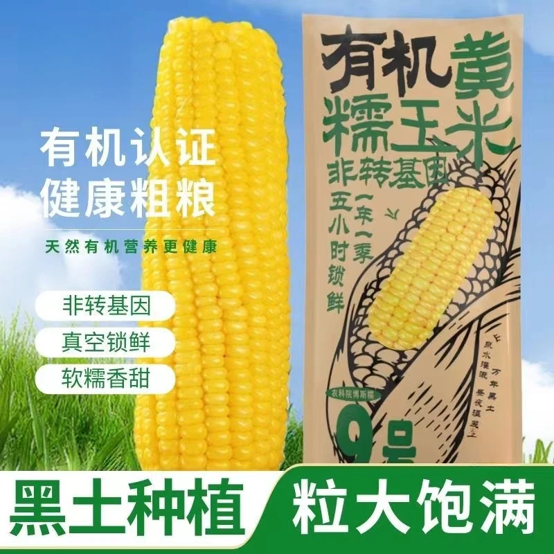 有机东北精品玉米软黏香甜真空包装8个装