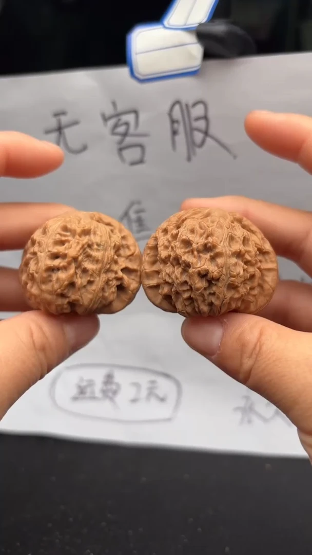 把件文玩核桃127白狮子