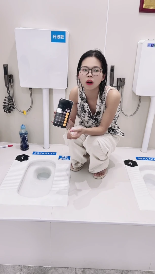 皖g01 3套带水箱 2套单独蹲便器